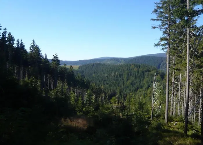 Perla Jizery Josefŭv Dŭl