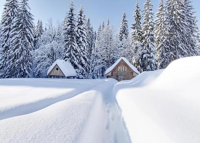 Perla Jizery Hotell 3*